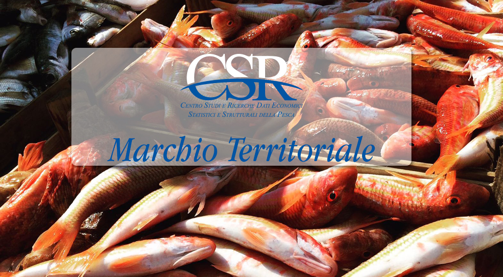 Marchio-Terrritoriale_CSR_PESCA-Trapani-Teconologia-pesca-artigianale